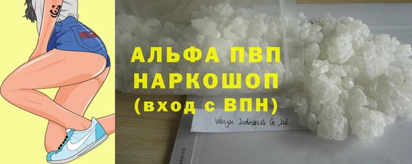 гидра Алексин