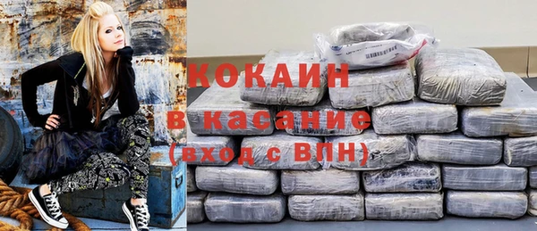 гидра Алексин