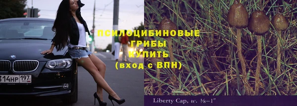 гидра Алексин