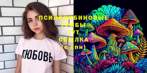мдпв Карталы