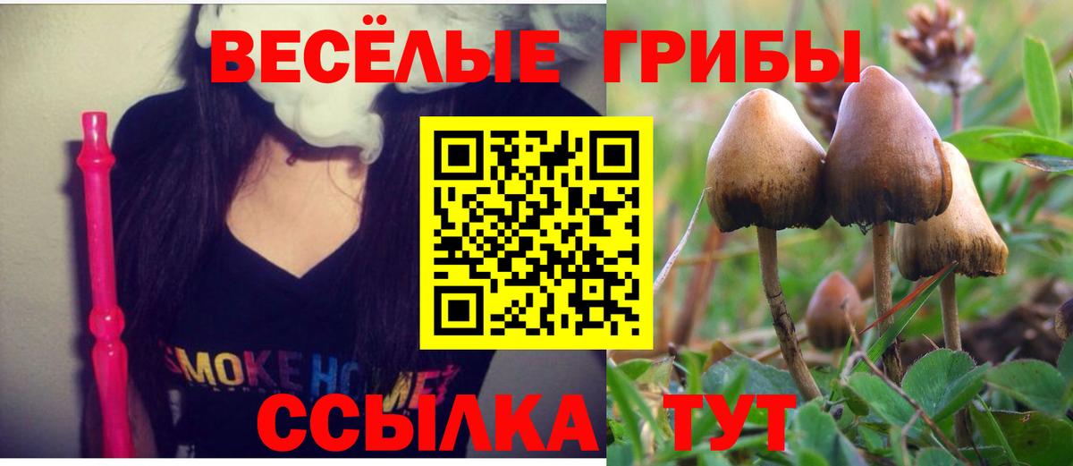Галлюциногенные грибы прущие грибы Амурск